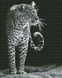 Алмазна мозаїка - Нічний мисливець Идейка 40х50 см (AMO7538)