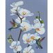 Цветущие орхидеи с голограммными стразами (AB) ©annasteshka Алмазная мозаика на подрамнике 40х50см, Да, 40 х 50 см