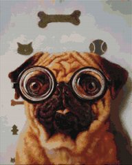 Купити Перевірка зору собачки ©Lucia Heffernan Алмазна картина на підрамнику 40 х 50 см  в Україні