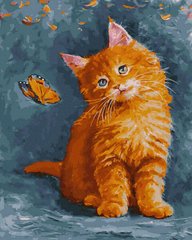 Купити Малювання картин за номерами (без коробки) Руде кошеня  в Україні