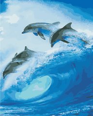 Купить Стая дельфинов. Цифровая картина раскраска  в Украине