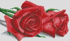 Купити 30631 Пара червоних троянд. Алмазна мозаїка (квадратні, повна)  в Україні