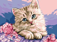 Купити Розмальовування по номерах картина Милий котик  в Україні