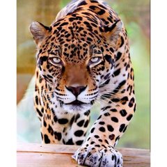 Купити Суворий леопард Діамантова мозаїка На підрамнику 40х50 см  в Україні