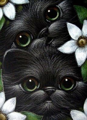 Купить Алмазная вышивка Зеленоглазые котята  в Украине