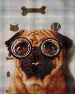 Купити Перевірка зору собачки ©Lucia Heffernan Алмазна картина на підрамнику 40 х 50 см  в Україні