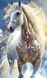 Белая лошадь Алмазная вышивка Квадратные стразы 40х65 см с голограммными оттенками