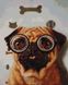 Перевірка зору собачки ©Lucia Heffernan Алмазна картина на підрамнику 40 х 50 см, Так, 40 x 50 см