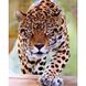 Суворий леопард Діамантова мозаїка На підрамнику 40х50 см, Так, 40 x 50 см