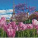 Алмазная картина мозаикой 30х30 см Весенние тюльпаны в Париже, Да, 30 x 30 см