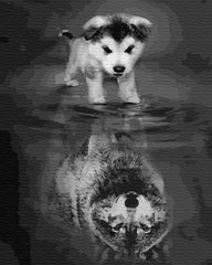 Купить Картина по номерам без коробки Душа волка  в Украине