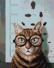 Купити Перевірка зору котика ©Lucia Heffernan Алмазна картина на підрамнику 40 х 50 см  в Україні