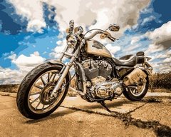 Купить Раскраски по номерам Harley Davidson  в Украине