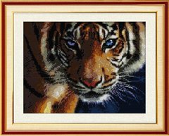 Купити 30028 Погляд тигра Набір алмазного живопису  в Україні