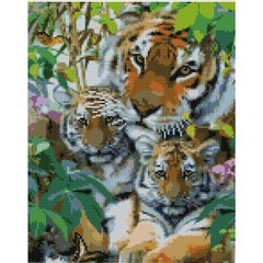 Купити Сім'я тигрів 30х40 см (KB076) Набір для творчості алмазна картина  в Україні