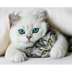 Купить Набор алмазной мозаики 40х50 Симпатичные котики  в Украине