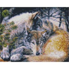 Купить Алмазная мозаика 40х50 см квадратными камушками Семейство волков  в Украине