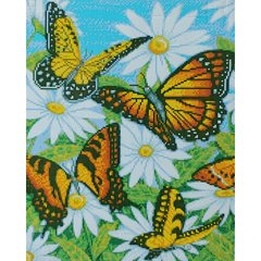 Купити Метелики в ромашках Діамантова мозаїка 40х50 см  в Україні