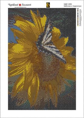 Купити Метелик і соняшник Картина алмазами за номерами  в Україні