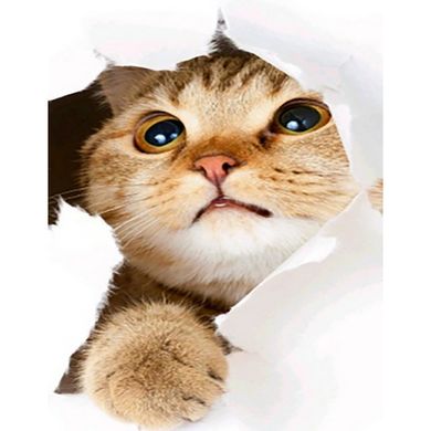 Купити Набір для алмазної мозаїки Допитливий котик в розмірі 40х50 см без підрамника  в Україні