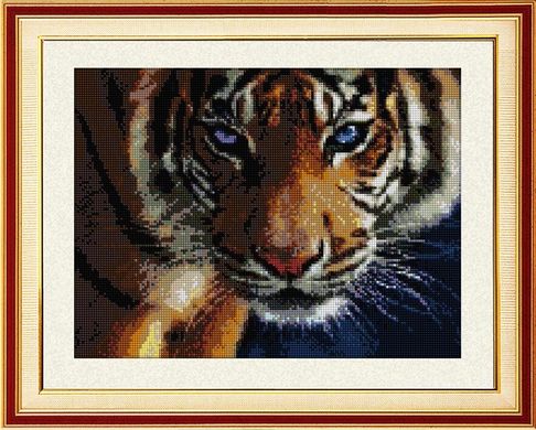 Купити 30028 Погляд тигра Набір алмазного живопису  в Україні