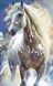 Білий кінь Алмазна вишивка Квадратні стрази 40х65 см з голограмними відтінками На підрамнику