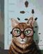 Проверка зрения кота ©Lucia Heffernan ТМ Брашми Алмазная картина на подрамнике 40 х 50 см, Да, 40 x 50 см