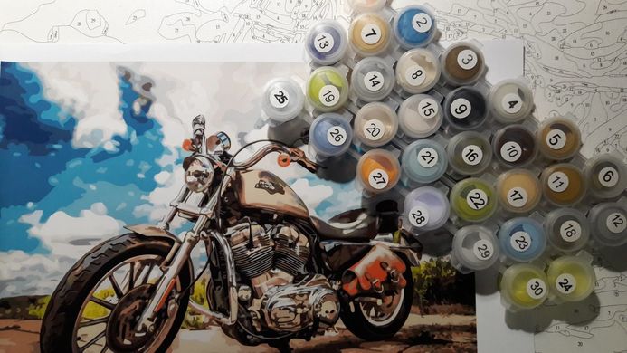 Купити Розмальовки за номерами Harley Davidson  в Україні