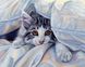 Алмазная вышивка Кошка под одеялом, Нет