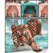 Брутальний тигр на відпочинку Алмазна мозаїка на підрамнику, квадратні 30х40 см, Так, 30 x 40 см