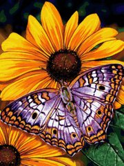 Купить Алмазная вышивка Бабочка на цветке  в Украине