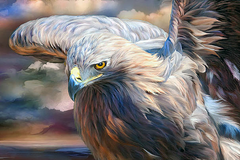 Купити Величний орел Набір для алмазної мозаїки без підрамника  в Україні