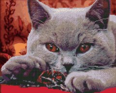 Купить Серый кот Алмазная картина раскраска 40 х 50 см  в Украине
