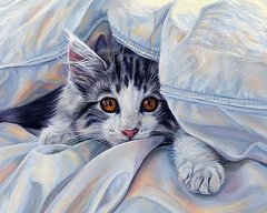 Купить Алмазная вышивка Кошка под одеялом  в Украине