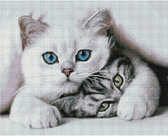 Купити Алмазна мозаїка 40х50 Симпатичні котики  в Україні