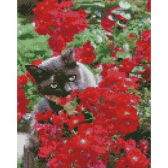 Купити Картина алмазною мозаїкою Котик в червоних квітах 30х40 см  в Україні