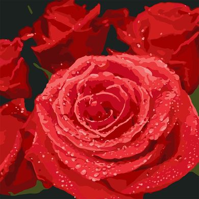 Купити Червоні троянди. Розпис картин за номерами  в Україні