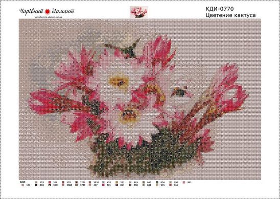Купити Діамантова мозаїка з повним закладенням полотна Цвітіння кактуса  в Україні