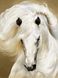 Білий кінь Набір для алмазної мозаїки на підрамнику 30х40см, Так, 30 x 40 см