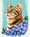 Малювання цифрової картини за номерами Лазурний котик ©Anna Kulyk, Без коробки, 40 х 50 см