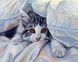 Алмазная вышивка На Подрамнике Кошка под одеялом