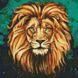 Алмазна мозаїка - Розкішний лев Идейка 40х40 см (AMO7505)