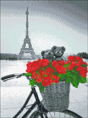 Купить Алмазная мозаика 30х40 Романтический Париж  в Украине