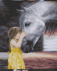 Купити Картина за номерами без коробки Дівчинка з конем  в Україні