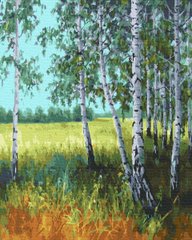 Купить Летний день в березовом лесу. Набор для рисования картин по номерам  в Украине