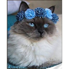 Купити Котик у блакитному віночку Алмазна мозаїка на підрамнику, квадратні 30х40 см  в Україні