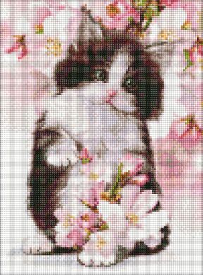 Купити Пухнасте кошеня Мозаїчна картина за номерами 30х40 см  в Україні