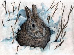 Купити Маленький кролик-2 Картина алмазна мозаїка за номерами  в Україні