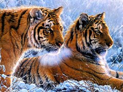 Купити Тигри в зимовому лісі Алмазна мозаїка На підрамнику 40 на 50 см  в Україні