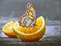 Купити Алмазна вишивка Метелик на апельсині  в Україні